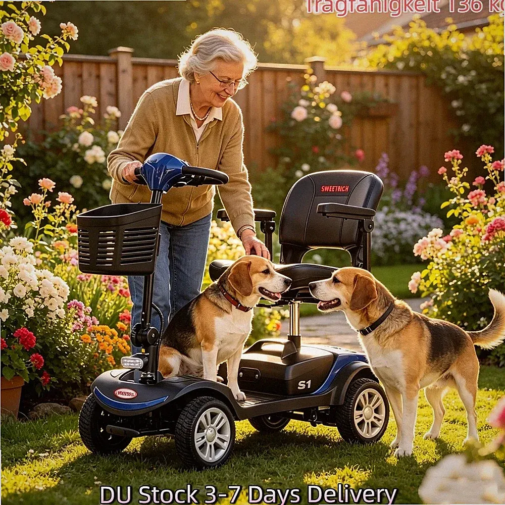 Neu S1 Serie Hochleistungs-Elektroroller, einfach zu demontieren ElektromobileDU