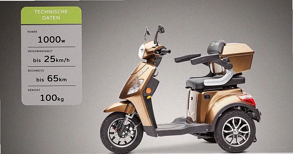 Neuwertiger Dreirad E-Roller "Econelo J1000" + Lithium Akku + Plane