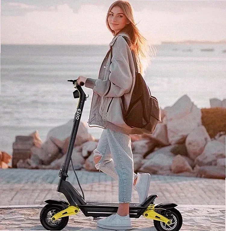 OOTD S10 Elektroroller 10 Zoll 48V 20Ah E-Scooter Klappbar 55KM/H Offroad 150KG