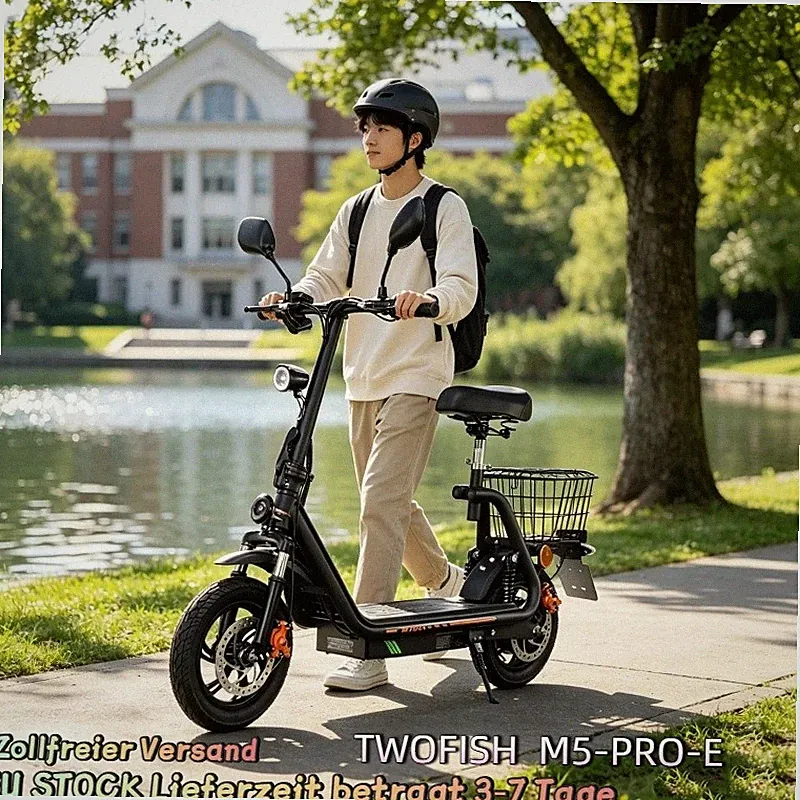 TWOFISH 12" Elektroroller 500 W 48V13AH Straßenzulassung Scooter mit Sitz