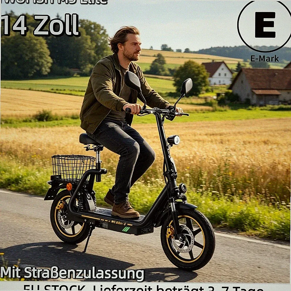 🔥TWOFISH 14" Elektroroller Mit Sitz,Mit Straßenzulassung&EEC 48V Elektro-Roller