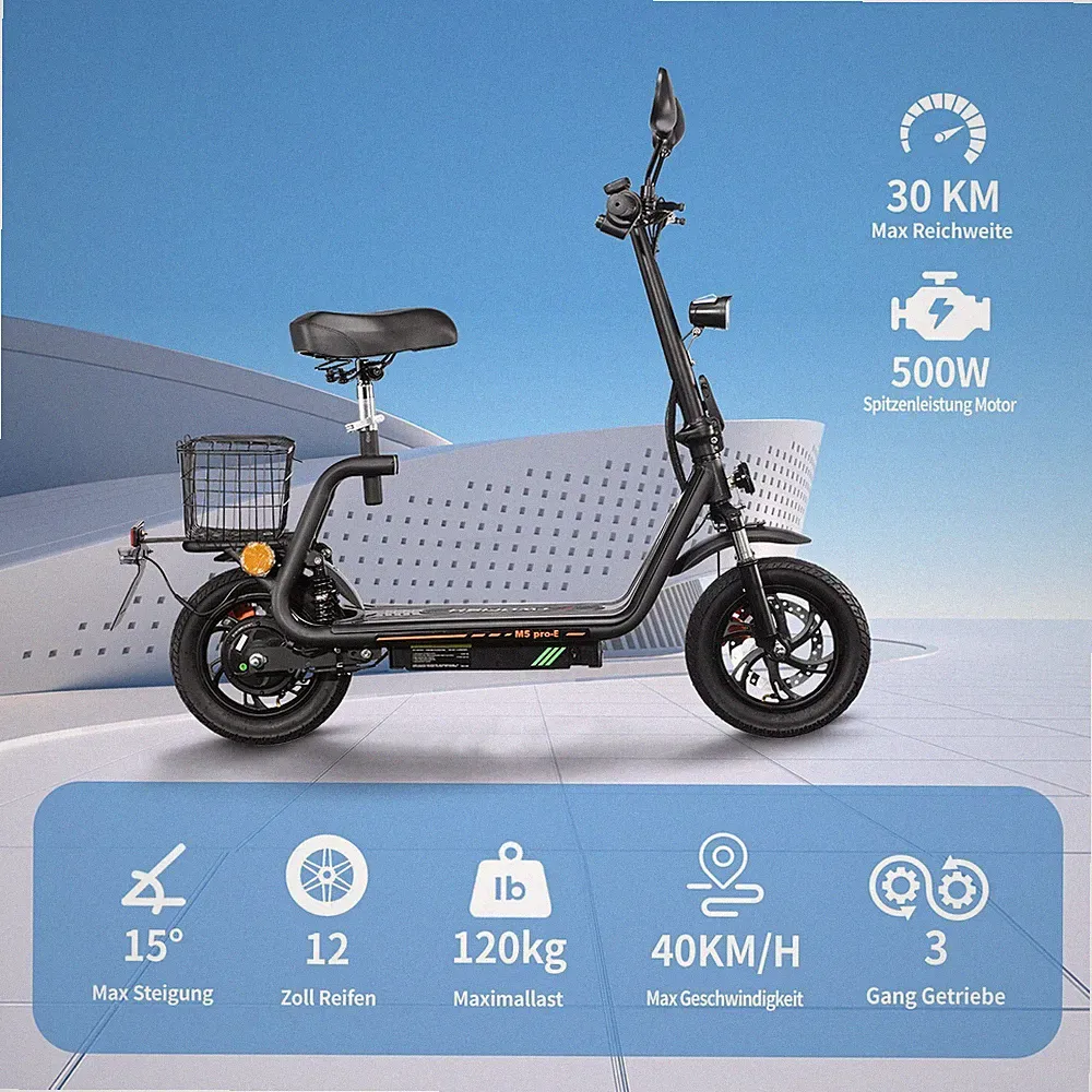TWOFISH Elektroroller 48V Mit Straßenzulassung 13AH Scooter mit Sitz 12" M5 PRO