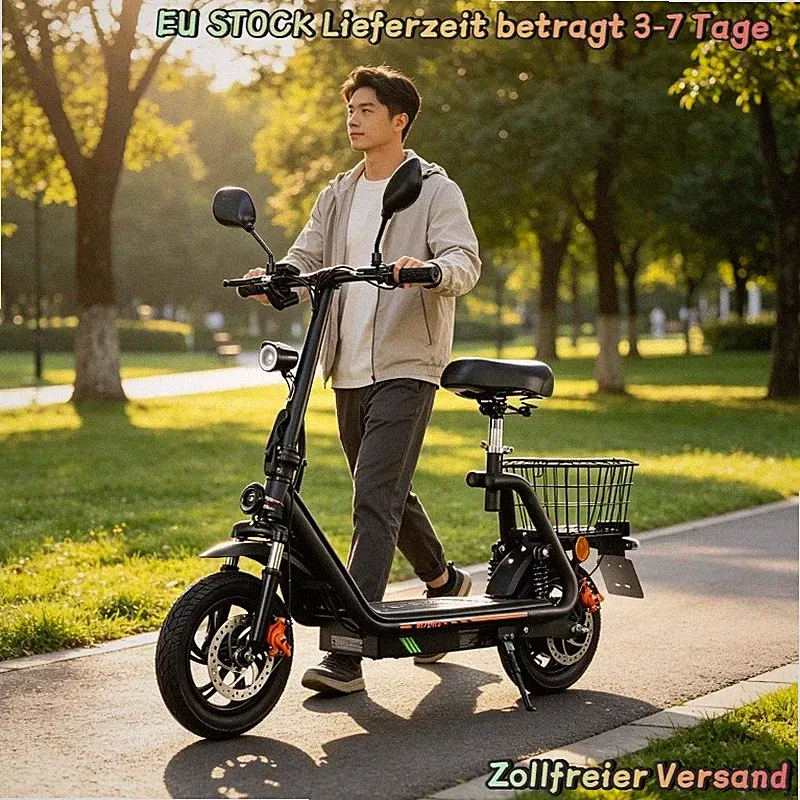 TWOFISH M5PRO 48V13AH Straßenzulassung Scooter 30KM Range 12Zoll Elektroroller