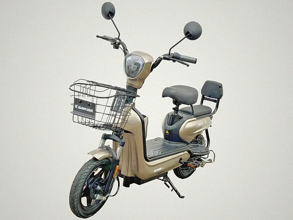 WuXi Saige Electro Scooter E-Roller mit Straßenzulassung 25km/h 48V 2-Sitzer 14"